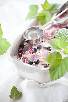 Blackcurrant ice cream