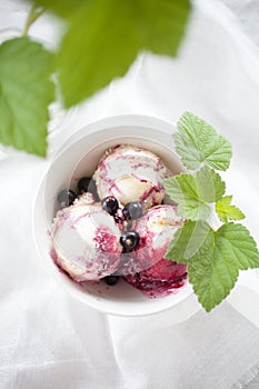 Blackcurrant ice cream