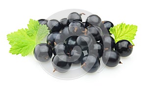 Blackcurrant with leaves