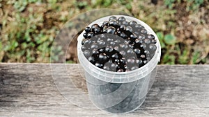 Blackcurrant in a plastic bucket on a wooden shelf