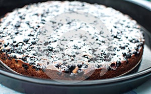 Blackcurrant tart with sugar powder on a round baking tray