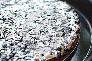 Blackcurrant tart with sugar powder on a round baking tray