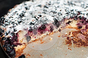 Blackcurrant tart with sugar powder on a round baking tray