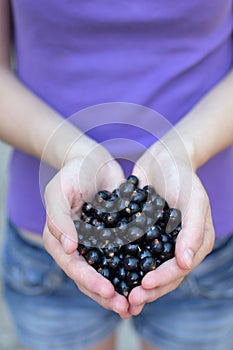 Blackcurrants