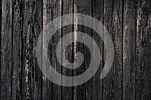 Blacked charred wood panel background texture