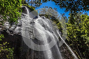 Blackfellow Falls in Rush Creek in Binna Burra Section of Lamington National Park, Queensland, Australia