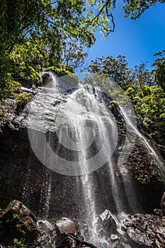 Blackfellow Falls in Rush Creek in Binna Burra Section of Lamington National Park, Queensland, Australia
