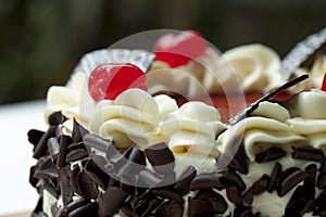 Blackforest, chocolate cake