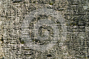 Blackground and Texures