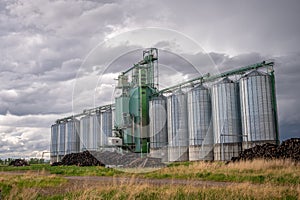 Blackie`s Cargill Grain Elevator