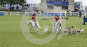 Blackmore & Sparkford Vale Foxhounds at Royal Bath and West show 2014