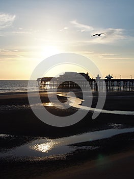 Blackpool north pier a sunset with bright evening sunlight reflected in the water and a seagull flying in blue sky