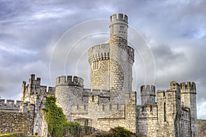 Castillo en corcho la ciudad irlanda 