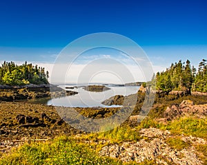 Calm Cove of Blacks Harbor