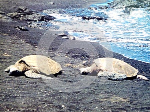 Blacksand Beach Hawaii