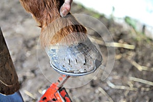 Blacksmith in action