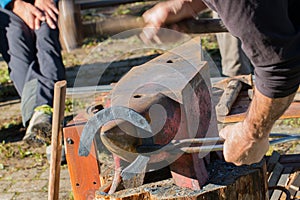 Blacksmith forging an horse shoe on anvil