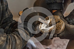 Blacksmith putting up the horse shoes