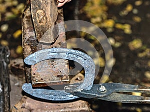 Blacksmith working on the anvil, making a horseshoe