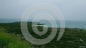 Blackstone Rocks Wembury Devon uk photo