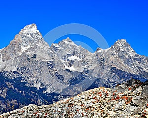 Blacktail Butte, Grand Tetons.