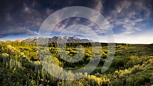 Blacktail Ponds Overlook