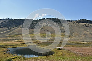 Blacktail Ponds at Yellowstone National Park