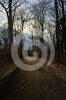 A Blacktop Path in a Dead Winter Forest With a Bright Sunset Behind It