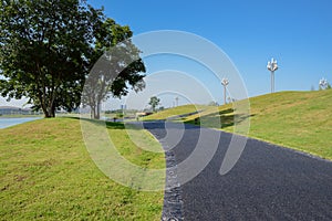 Blacktopped pedestrian path on grassy in sunny summer morning photo