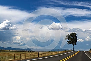 Blacktopped road with one tree on horizon and mountains and rain on the horizon photo