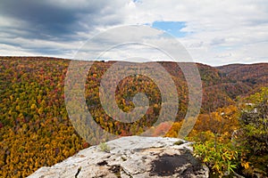 Blackwater Falls State Park covered in trees under a cloudy sky in autumn in West Virginia