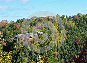 Blackwater Falls State Park autumn colors