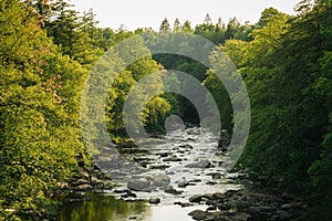 The Blackwater River, at Blackwater Falls State Park in Davis, West Virginia