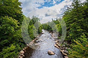 The Blackwater River at Blackwater Falls State Park, West Virginia