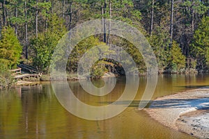 Blackwater River running through the forest of Milton, Santa Clara County, Florida