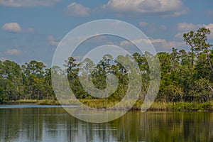 The Blackwater River at Russell Harber Landing in Milton, Santa Rosa County, Florida