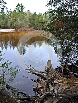 Blackwater River State Park in Florida