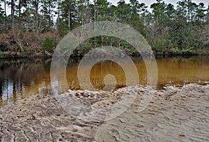 Blackwater River State Park in Florida