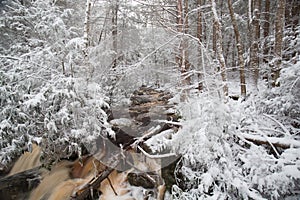 Blackwater State park trail with snow and ice