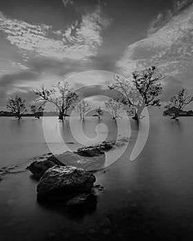 Blackwhite Photos at Batam Bintan Islands