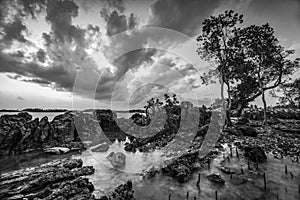 Blackwhite Photos landscape Wonderful Bintan Indonesia