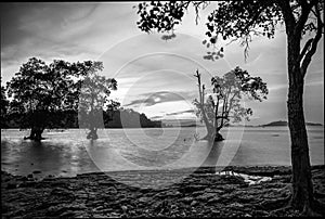 Blackwhite photos panorama of Bintan wonderful indonesia