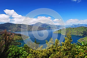 Blackwood Bay, Marlborough, NZ