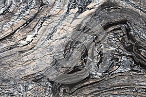 Blackwood lether natural marble stone texture, photo of slab. Soft Italian stone background for interior, exterior home