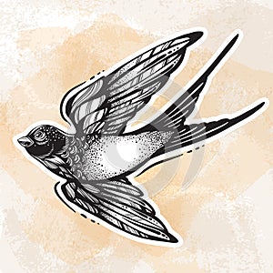 Blackwork tattoo flash. Beautifully detailed flying swallow bird. Vintage retro style design. Isolated vector illustration.