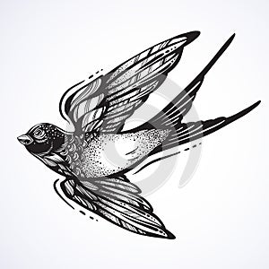 Blackwork tattoo flash. Beautifully detailed flying swallow bird. Vintage retro style design. Isolated vector illustration. photo