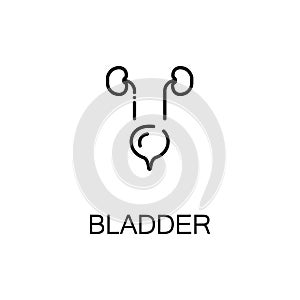 Bladder flat icon