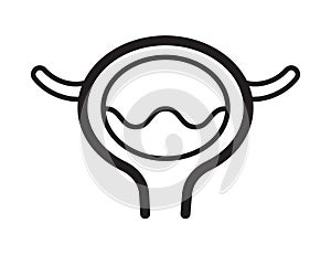 Bladder icon vector in outline simple style. Cystitis symbol is shown. Nephropathy, renal failure, diseases photo