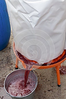 Bladder press in action. Fruit and wine press operation. Pressing grapes for wine production. Pressing of fruit and apple cider