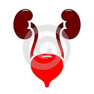 Bladder and urinary tract infection icon